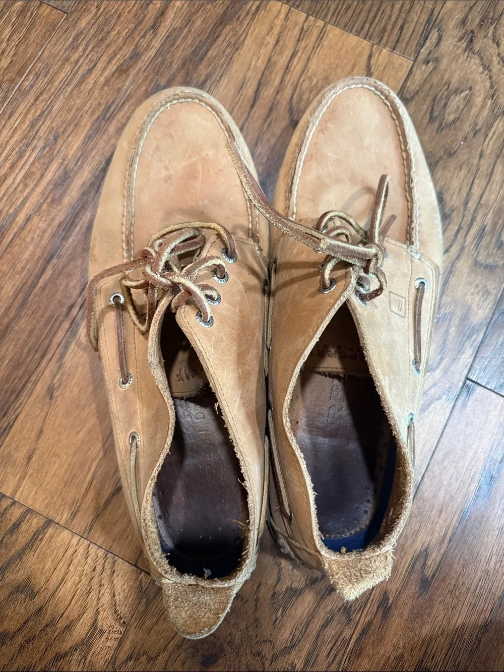 Sperry Men's Suede Boat Shoes in Tan with Leather Laces